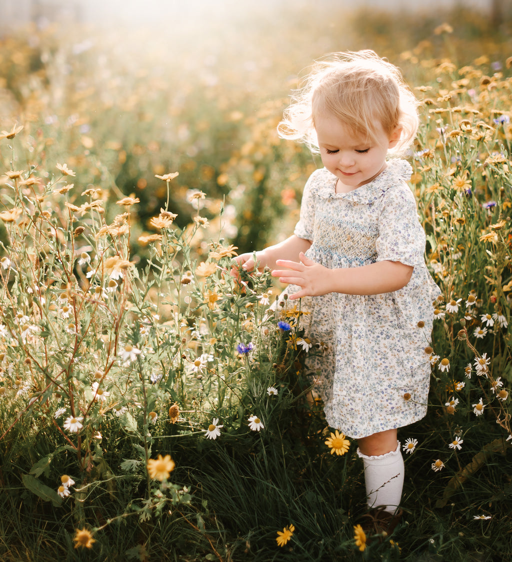 Sunie Floral Dress